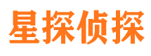 河北区私家调查公司